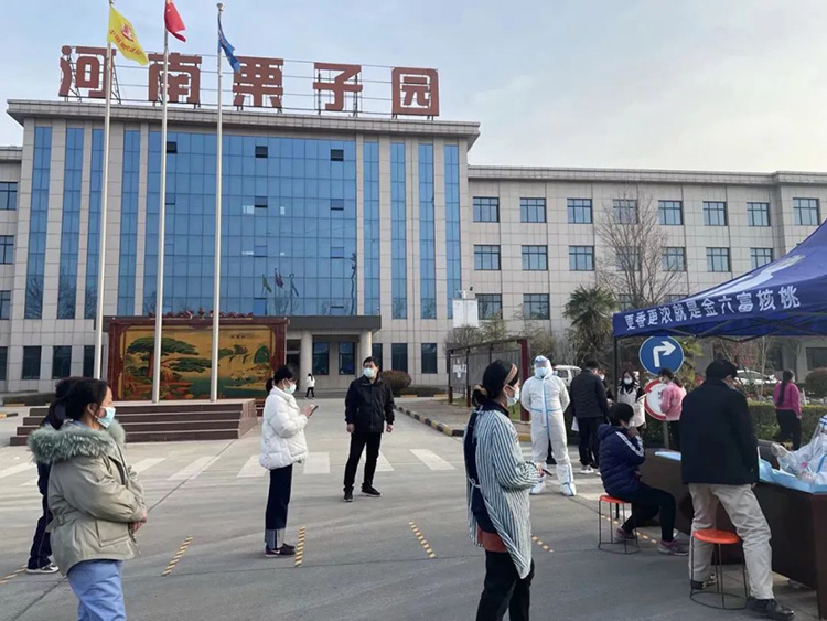不怕不識貨，就怕貨比貨。疫情防控常態(tài)化，栗子園為何能做到一騎紅塵？